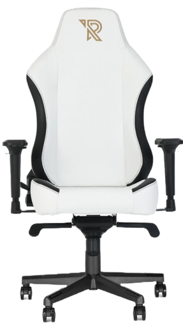 Ranqer Comfort Gaming chair